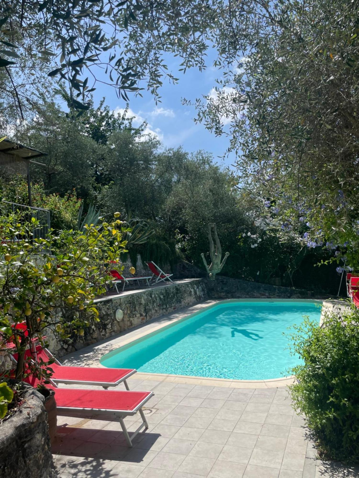 לינה וארוחת בוקר קמאיורה Casa Del Sole מראה חיצוני תמונה
